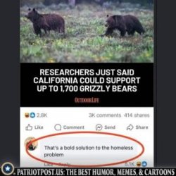 1755481751621.jpeg