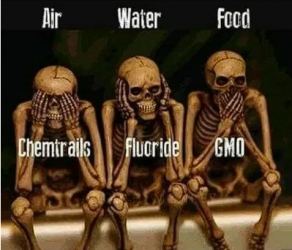 1755522936949.png