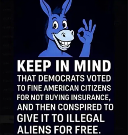 1755609553238.png