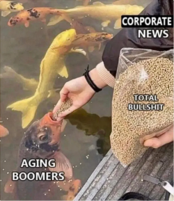 1755807703331.png