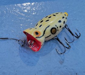 hulapopper.jpg