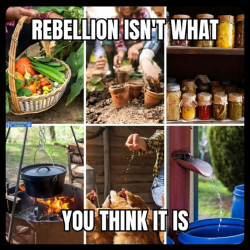 1755901963635.png