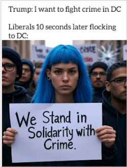 1755902185321.png