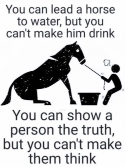 1755915130102.png