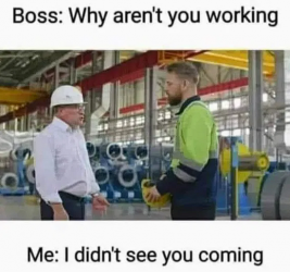 1755954353794.png