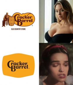 1756036143449.png