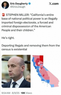 1756036267190.png
