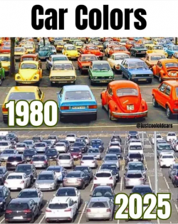 1756070591491.png