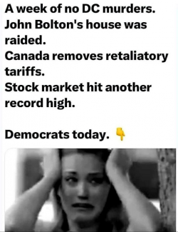 1756081068341.png