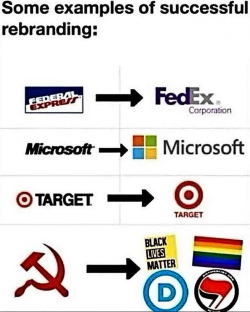 1756085474045.png