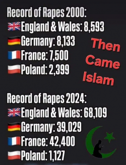 1756122291084.png