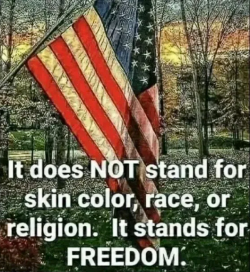 1756171190838.png