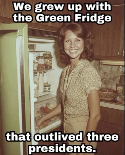 1756381805771.png