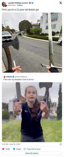 1756464219465.png