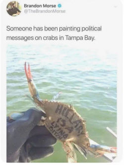 1756520130728.png
