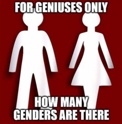 1756521065279.png