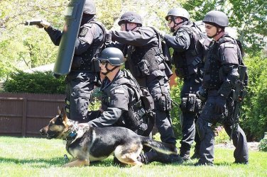SWAT_team_raid-2037706965.jpg