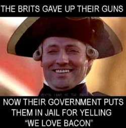1756646249709.png