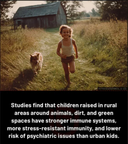 1756687447149.png