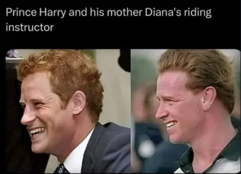 1756732644655.png