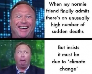 1756734780201.png