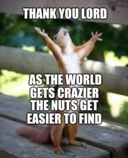 1756774538038.png