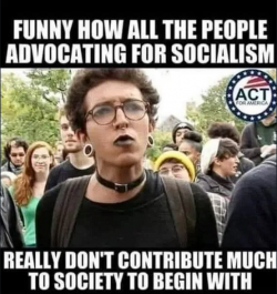 1756776729524.png