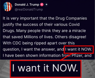 1756848034404.png