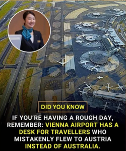 1756848271130.png