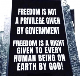 1756912184230.png