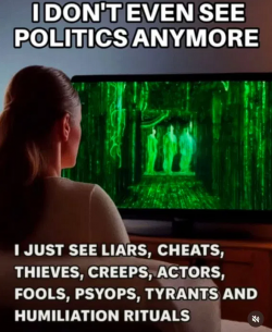 1757029086140.png
