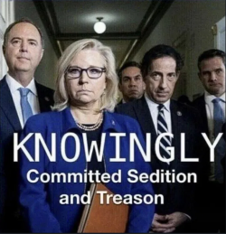 1757029421275.png