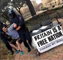 1757120425898.png