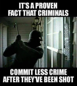 1757122260508.png