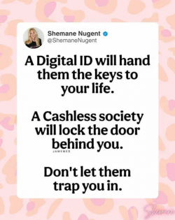 1757122968084.png