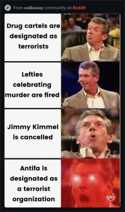 1758282035685.png