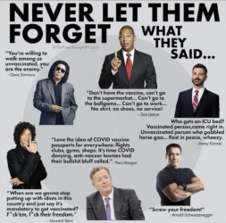 1758364085237.png