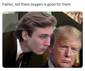 1758993156306.png