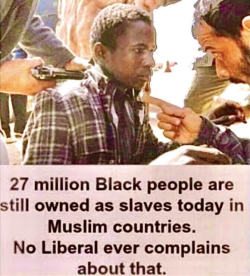 1760090738538.png
