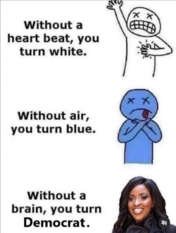1760167560889.png