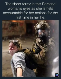 1760411513993.png
