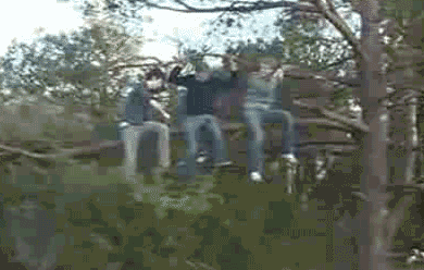people-are-idiots-sawing-tree-branch-960712069.gif