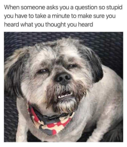 1761043198616.png