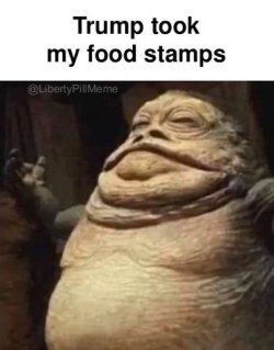 1761519110507.jpeg 1761519110507.jpeg