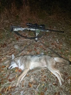 10-25 Solo.jpg 10-25 Solo.jpg