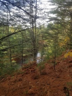 20251024_094420.jpg 20251024_094420.jpg