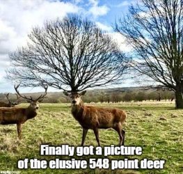 443194-877728250ab208fb36ee1fce04e32049.jpg 443194-877728250ab208fb36ee1fce04e32049.jpg