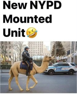 IMG_6078.jpeg IMG_6078.jpeg