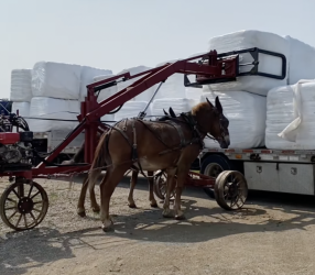 1000005103.png 1000005103.png