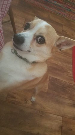 received_2312989192136617.jpeg received_2312989192136617.jpeg